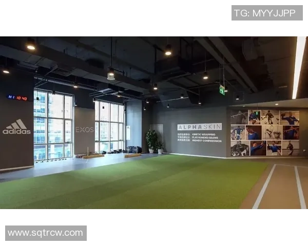 南京攀岩队全新战略布局与整体压制革新探讨 南京攀岩队全新战略布局与整体压制革新探讨